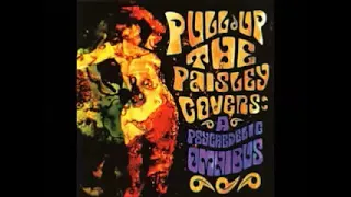 Various ‎– Pull Up The Paisley Covers: A Psychedelic Omnibus : 60's 70's Psychedelic Folk Rock ALBUM