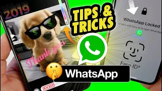 Whatsapp TIPS,TRICKS & HACKS You probably didn’t know Existed