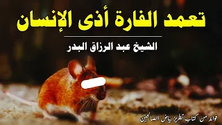 تعمد الفأرة أذى الإنسان | الشيخ عبدالرزاق البدر حفظه الله