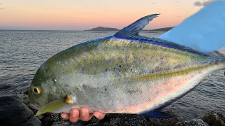 Using a Different type of bait to catch Papio!  | Fishing in Hawaii | Papio Fishing |