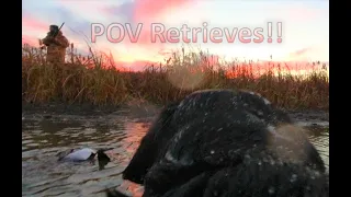How does wind effect waterfowl habits? 2020 Diver and Mallard Hunting in Saskatchewan (part 1/2)