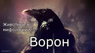 Животные в мифологии: Ворон