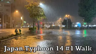 Japan Typhoon 14 Rain Walk #1 2021.09.18 ASMR Ambient Sound Sleep Meditate Relax Tokyo Suburb