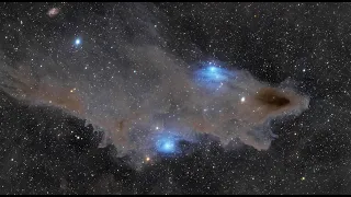 Reflection and Dark Nebulae in Cepheus
