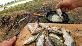 PESCA Y COCINA EN LA GRANJA, pesca urbana