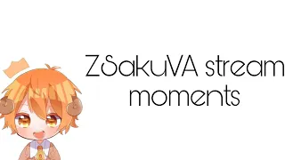 ZSakuVA stream moments part one