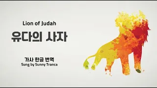 [이스라엘 찬양] '유다의 사자', 번역 by KIBI | Sunny Tranca - Lion of Judah Remix 한글 가사 번역 | #유다의사자 #예슈아 #메시아