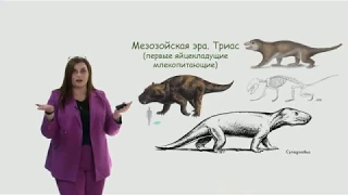 Млекопитающие 7 класс зоология