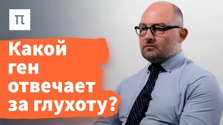 Редактирование генома на стадии зиготы — Денис Ребриков / ПостНаука