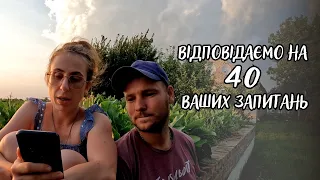 Правдиві відповіді на запитання