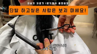 단발병 왔을 때 봐야하는 단발 태슬컷 자르기!(커트asmr, 샴푸asmr 일까)