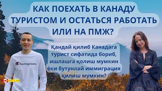 Поехать в Канаду туристом и остаться работать или на ПМЖ - запись эфира с переводом на узбекский
