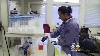 Breast Cancer Breakthrough