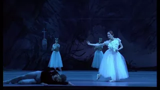 Bolshoi Ballet 2017-2018 Season: Giselle - Sergei Polunin Act II