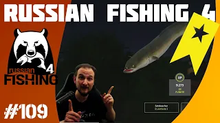 Russian Fishing 4 #109 Auf Aal und dann ...