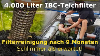 Große Filterreinigung nach 9 Monaten | 4.000 Liter IBC-Teichfilter | Koiteich-Blog #26