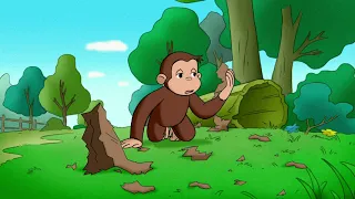 The Clean Perfect Yellow Hat - Curious George | WildBrain