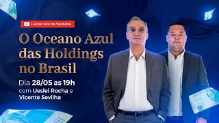 O Oceano Azul das Holdings