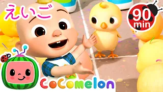 【🆎えいごをまなぼ！】 ひよこと数をかぞえよう！・ココメロン 日本語 - 幼児向け歌とアニメ ・CoComelon 日本語吹替版