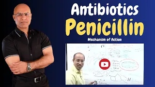 Penicillin | Antibiotics | Mechanism of Action | Pharmacology💊