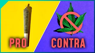 Cannabis wird legal - Das sagt die Wissenschaft dazu