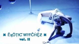 ✖ EXOTIC WITCHEZ ✖ vol. II