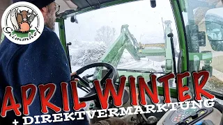 FarmVLOG#280 - Wintereinbruch und Direktvermarktung