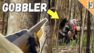 OHIO Spring Turkey Hunting!!! - (Longbeard SNEAKS in QUIET!)