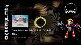 Sonic Adventure OC ReMix by Rexy: "Aviated Spirit" [Theme of "E-102γ"] (#3969)