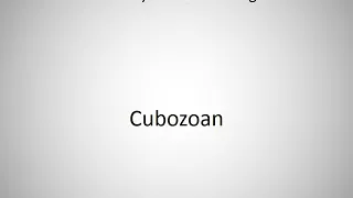 How to say Cubozoan in English?