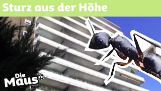 Ameisensturz vom Hochhaus | DieMaus | WDR