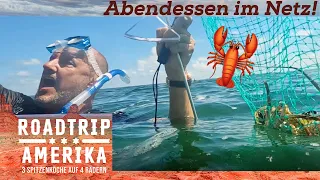 Mission HUMMERFANG! 🦞 Kopfsprung zum Abendessen! | Roadtrip Amerika | Kabel Eins