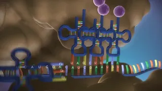 Proteinbiosynthese 3D in 3 Minuten - made EASY