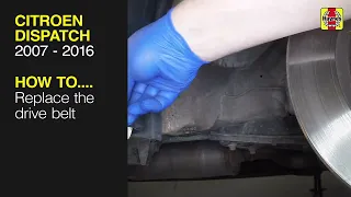 How to Replace the drive belt on the Citroen Dispatch 2007 to 2016