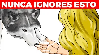 15 HÁBITOS QUE NO SABÍAS ERAN PELIGROSOS PARA TU PERRO