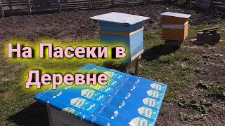 На Пасеки в деревне