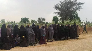 Scores of girls missing after Boko Haram attack in north-east Nigeria