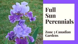 Full Sun Perennials for Zone 3 Canadian Gardens
