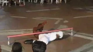 Best Limbo Dancer (Bahamas)