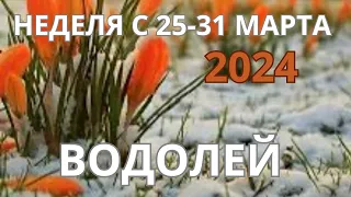 ВОДОЛЕЙ ♒️ ТАРОСКОП С 25-31 МАРТА/ MARCH-2024 от Alisa Belial.