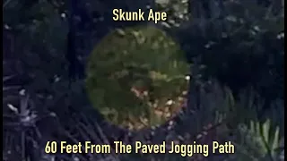 New Florida Skunk Ape Footage-