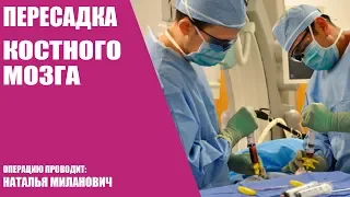 Трансплантация костного мозга/Операция