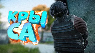 ВНЕДРИЛСЯ К НАЕМНИКАМ в DayZ [STALKER RP]