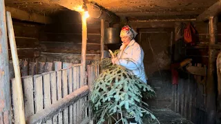 Grandma's life in a mountain village in winter. Grandma's recipe - dumplings with cheese