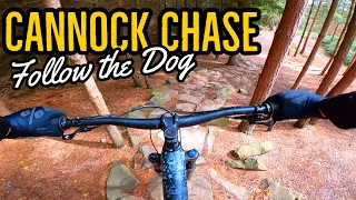 Follow the Dog Mountain Bike Trail @ Cannock Chase