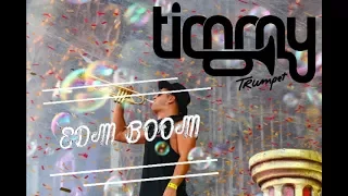 Timmy Trumpet @ Tomorrowland 2017 - Drops Only