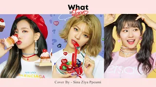 [COVER] 트와이스(TWICE) - What is Love?