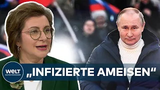 PUTINS KRIEG: Russische Propaganda immer absurder – "Infizierte Ameisen kriechen über die Grenze"