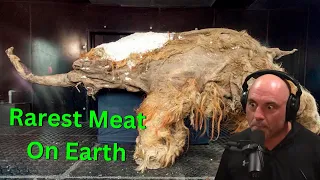 Joe Rogan's Unforgettable Taste Test: 20,000 Year Old Woolly Mammoth Meat