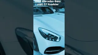 St. Petersburg, FL 2019 Mercedes-Benz AMG GT Roadster Designo Diamonds White on Saddle Brown